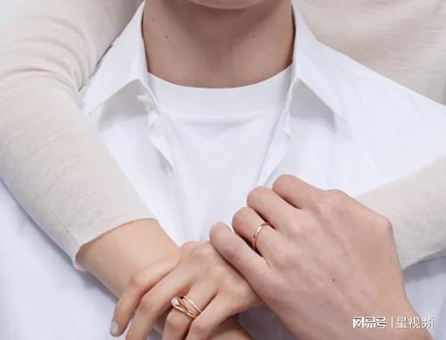 世界十大奢侈品珠宝品牌工艺、传承与奢华(图8)