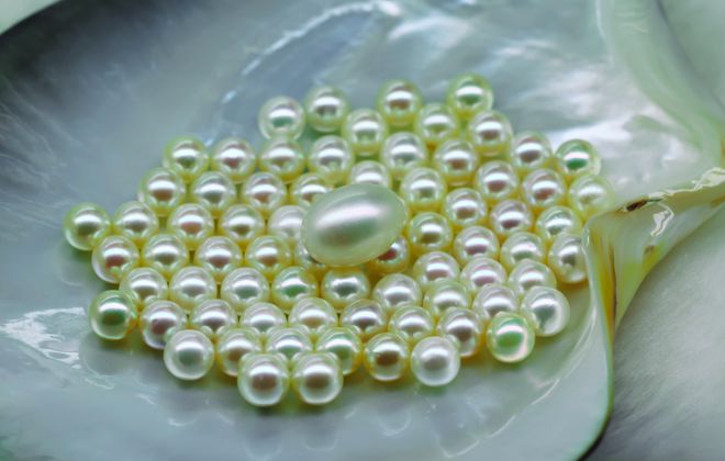 北海宝物亮相央视《2025年非遗晚会》！(图3)