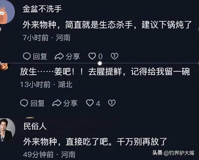 男子黄河滩网到河鳖大如脸盆！想放生被网友拦下：它是生态杀手(图4)