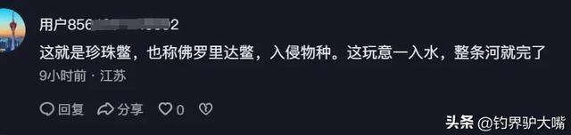男子黄河滩网到河鳖大如脸盆！想放生被网友拦下：它是生态杀手(图5)