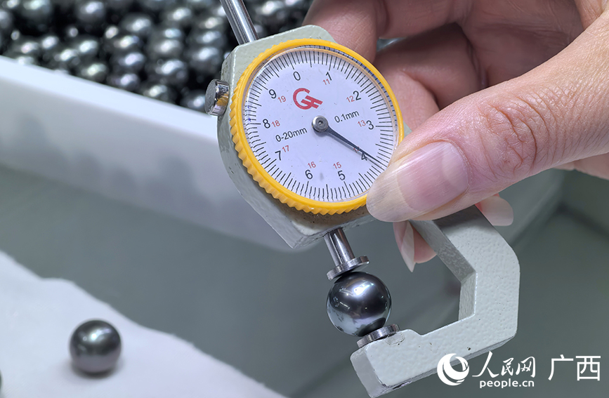 广西北海：珍珠市场蓬勃发展(图2)