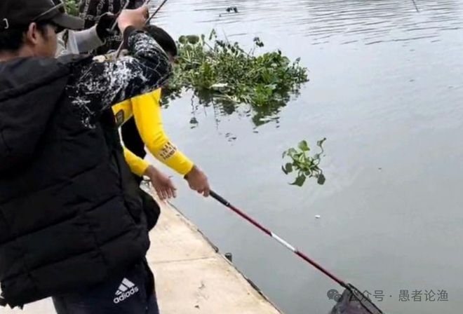 广西男子河边钓到“澡盆鳖”想放生却被阻止网友：外来物种不能放(图3)