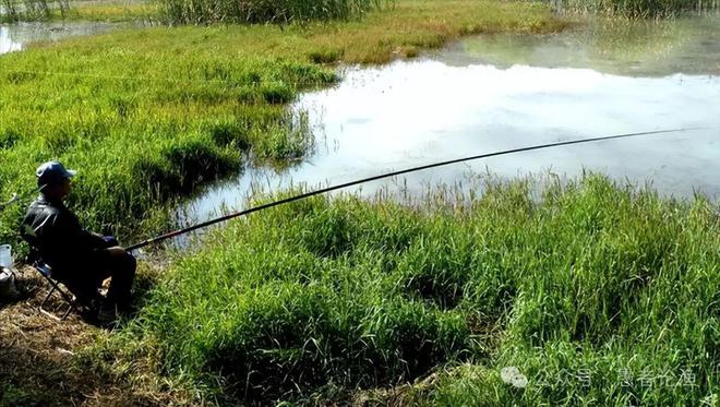 广西男子河边钓到“澡盆鳖”想放生却被阻止网友：外来物种不能放(图11)