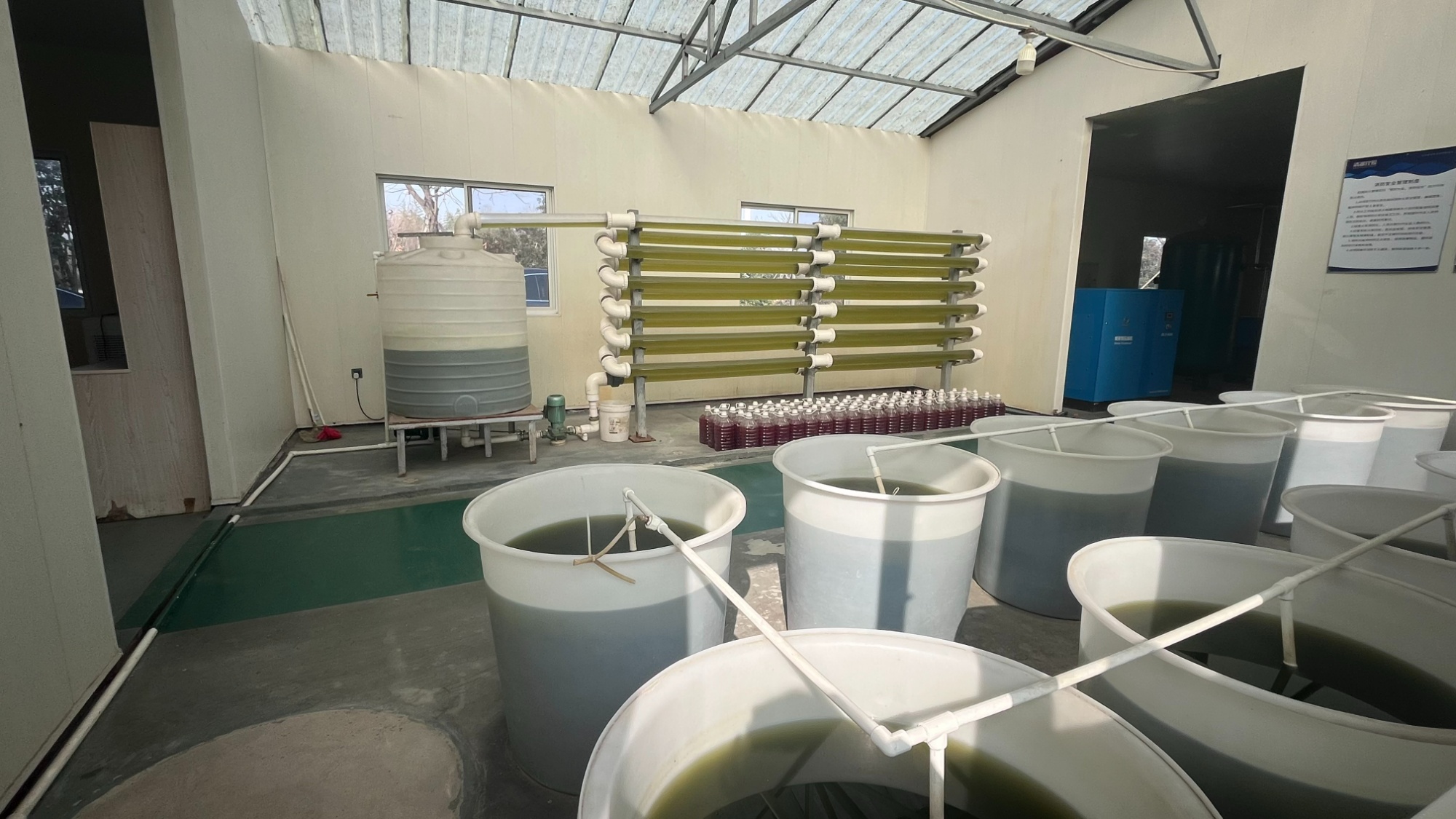 新春走基层 浙江诸暨：小珍珠“串”起百亿大产业(图9)