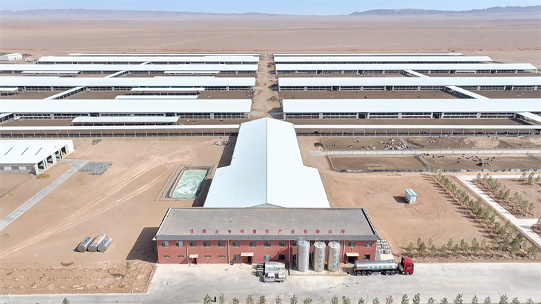 【强信心·看发展·招商引资拼落地】甘肃正合祥畜牧产业有限公司：打造万头奶牛基地(图2)