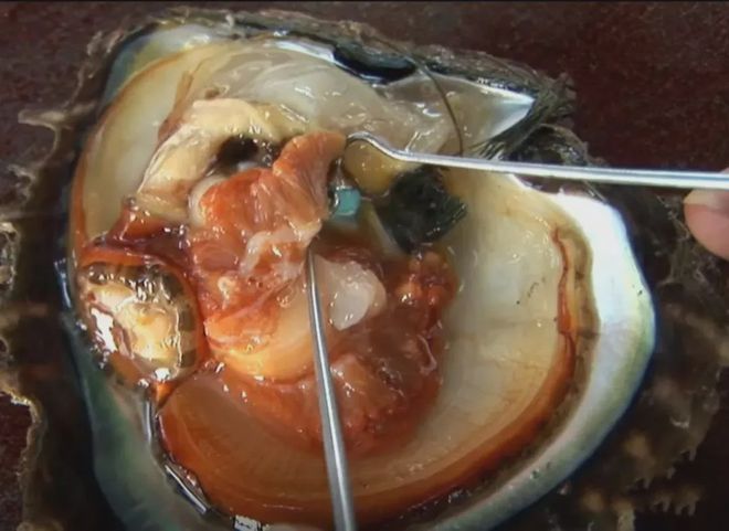 用彩宝作核的雕刻珍珠99%的人没见过！！(图2)