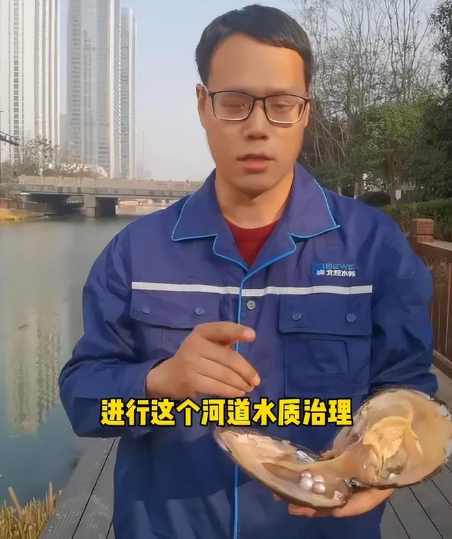 杭州用河蚌改善河道水质却意外发现珍珠消息一出网友沸腾了(图4)