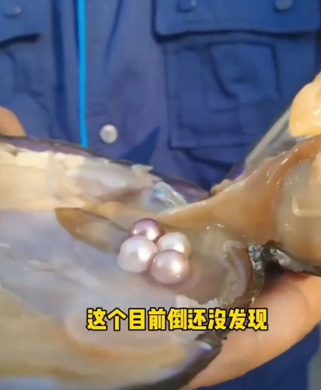 杭州用河蚌改善河道水质却意外发现珍珠消息一出网友沸腾了(图6)