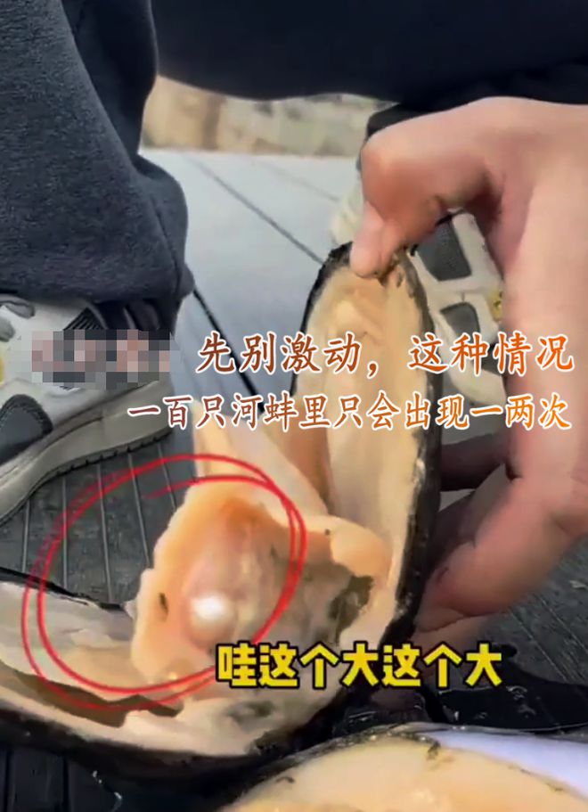 杭州用河蚌改善河道水质却意外发现珍珠消息一出网友沸腾了(图5)