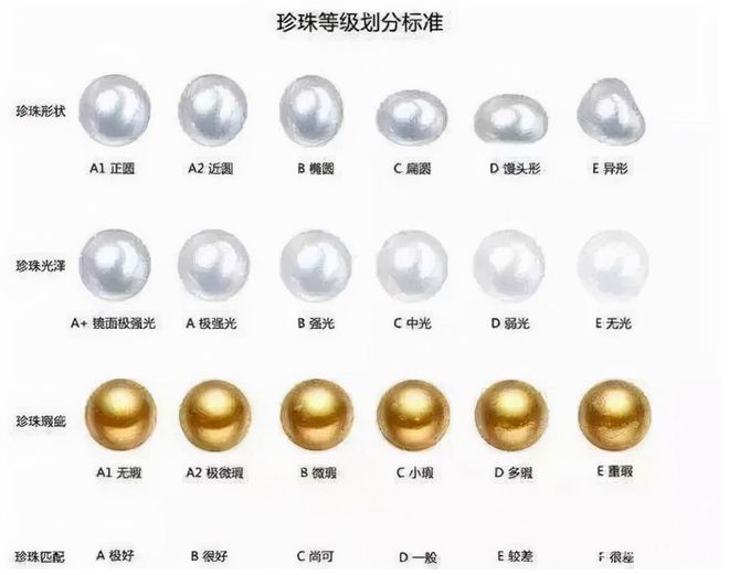 杭州用河蚌改善河道水质却意外发现珍珠消息一出网友沸腾了(图8)