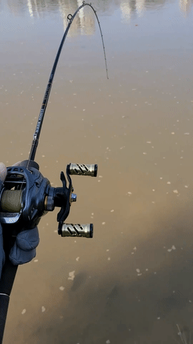 广东男子钓到30斤大河鳖路人纷纷劝其放生网友：这是镇河鳖(图2)