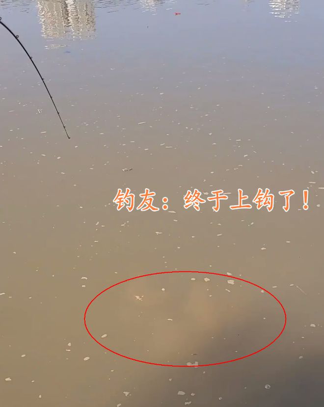 广东男子钓到30斤大河鳖路人纷纷劝其放生网友：这是镇河鳖(图3)