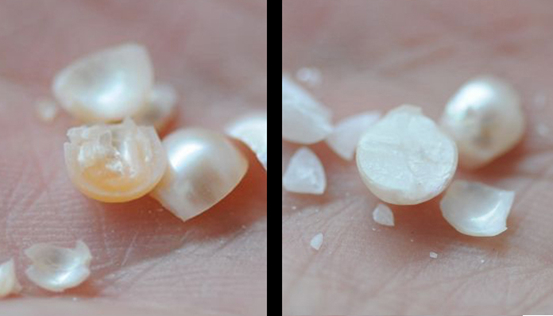 001丨人老珠黄 —— 珍珠(图3)