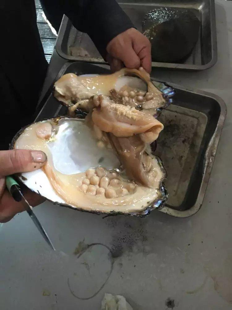 珍珠养殖系统的制作方法(图1)