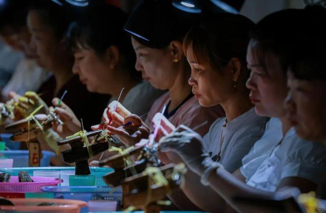 广西南珠产量大突破有绝招！秘密藏这里→(图2)