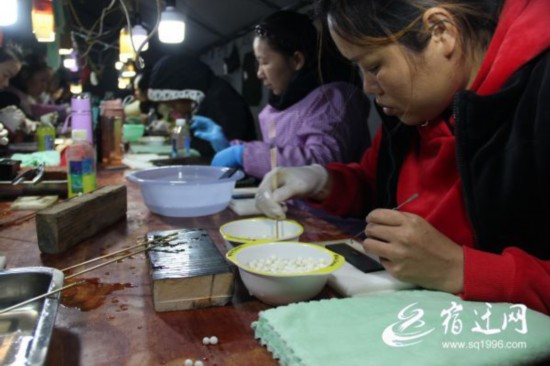 泗洪珍珠养如何养成？你想知道的答案都在这里(图2)