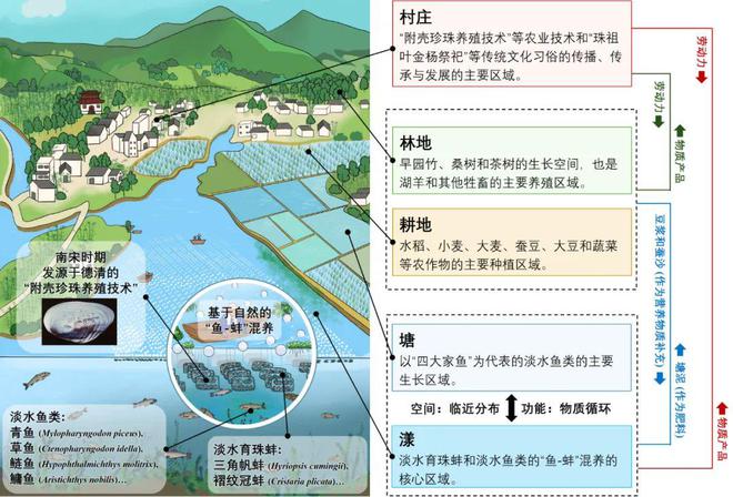 全球重要农业文化遗产浙江+1(图3)