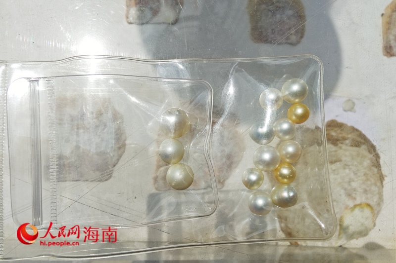 核電與生態共融培育珍珠 海南創新“核能+生態”發展模式(图1)