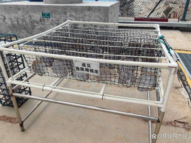 以乡村为底以绿色为墨海南核电绘出高质量发展新画卷(图3)