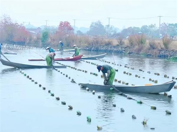 抖音电商助力国货品牌线上转型 小镇奶奶一年卖出珍珠120万单(图9)