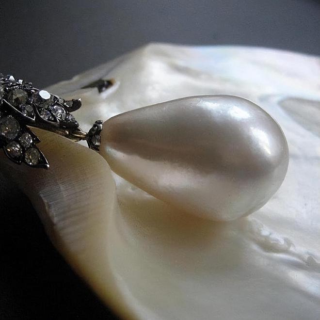 世上最完美的珍珠！漂泊500年身价暴涨7000万三国王室争破头(图21)