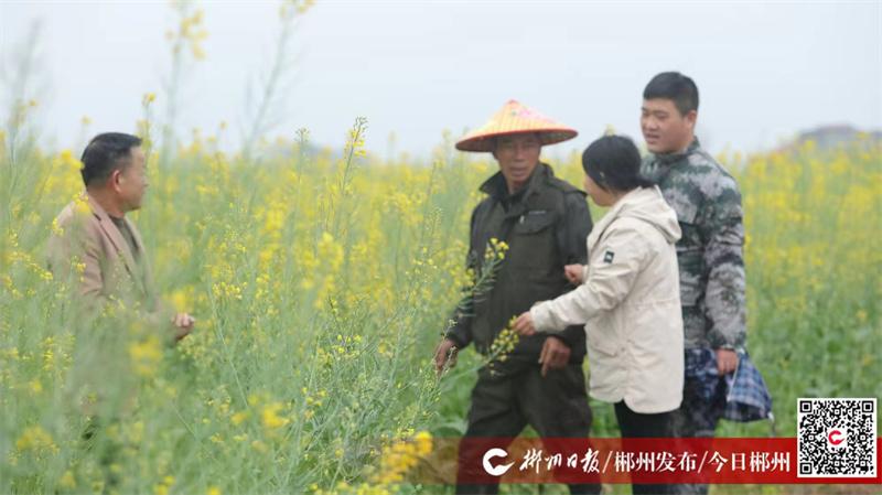 科技赋能助丰收 安仁成功打响今年人工防雹“第一炮”(图1)