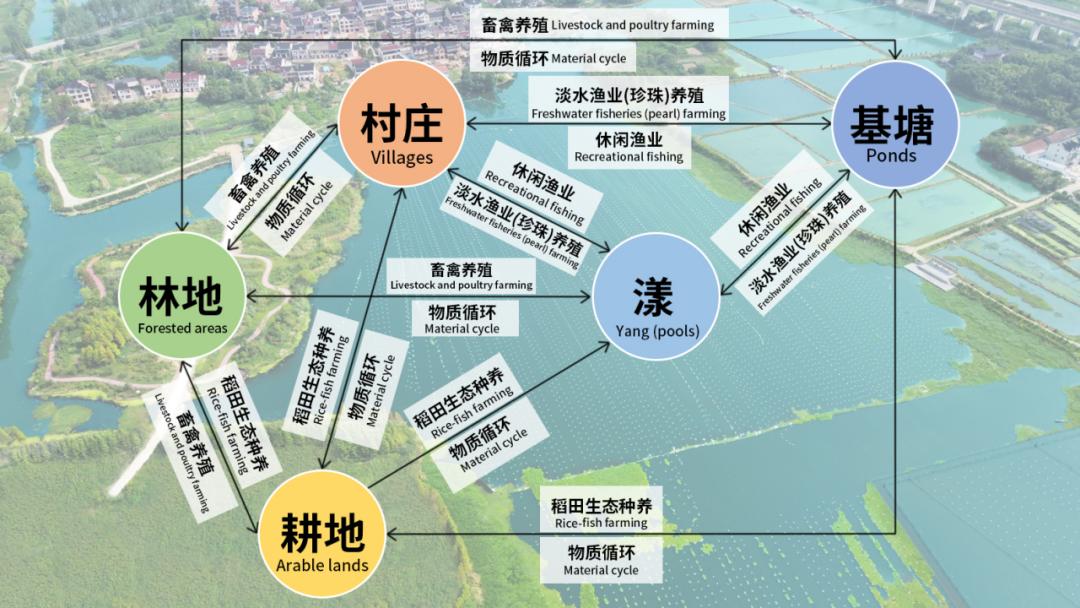 欧诗漫被联合国“点赞”了(图9)