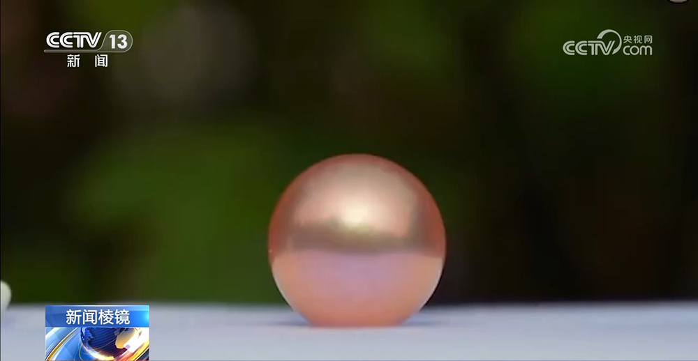 直播开蚌藏“套路消费”：号称捡漏拉抬人气 开蚌取珠暗藏手法(图1)