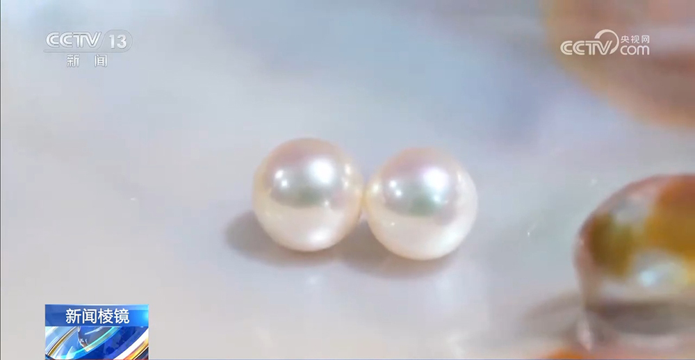 直播开蚌藏“套路消费”：号称捡漏拉抬人气 开蚌取珠暗藏手法(图2)