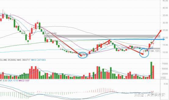 AI独角兽MiniMax登顶全球 唯一算力服务商外资牛散重仓押注(图3)