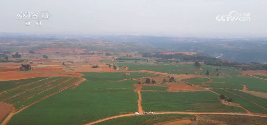 科技“点亮”希望的田野 绘就一幅幅多彩春日生产画卷(图4)