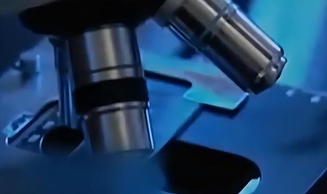 世界第一人！美国专家研究几十年未果河南农民花10年成功(图16)