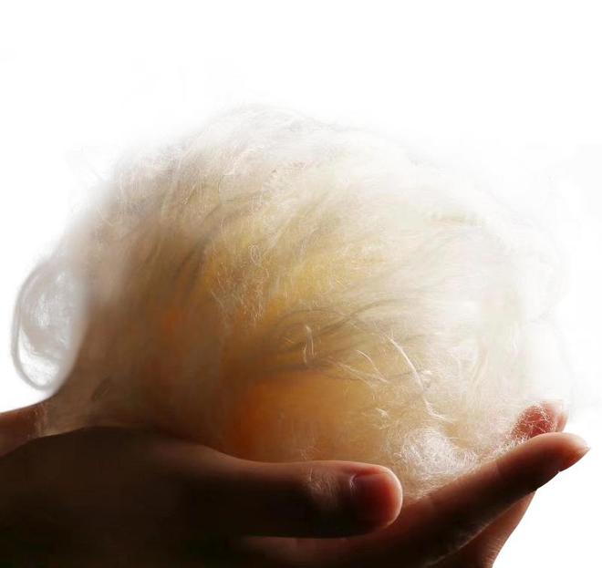 世界第一人！美国专家研究几十年未果河南农民花10年成功(图13)