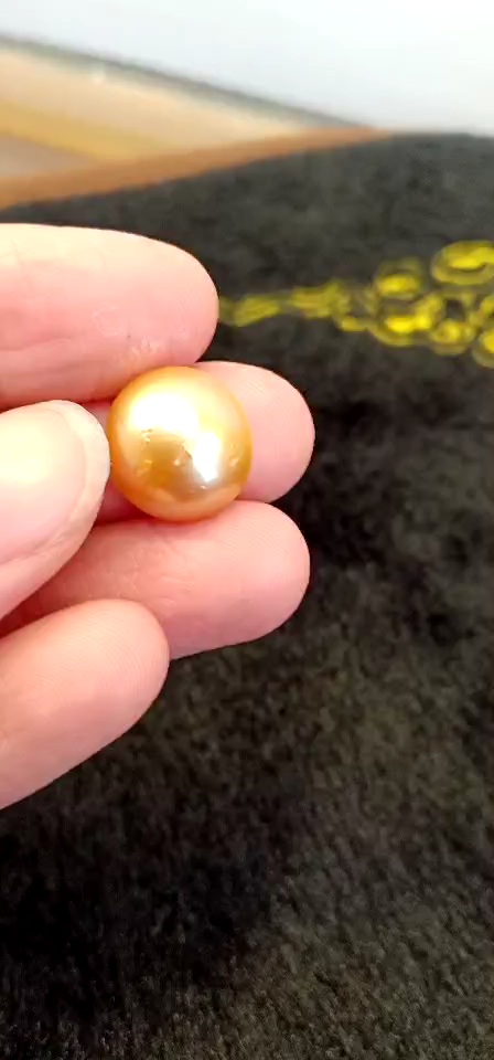 一种缩短有核珍珠培育期的珍珠核的制作方法(图1)