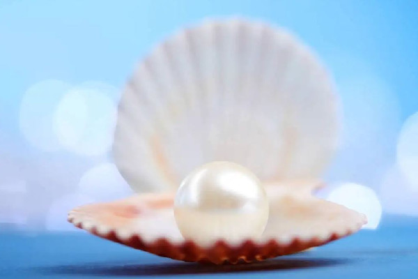 珍珠有核和无核的区别 珍珠有核好还是无核好(图2)