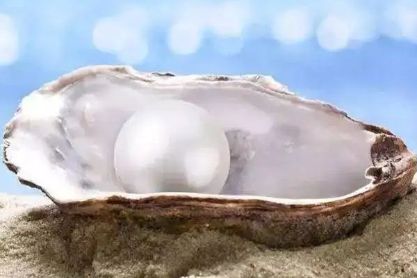 珍珠有核和无核的区别 珍珠有核好还是无核好(图3)