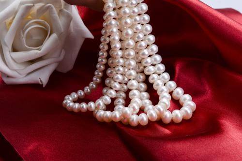 有核珍珠与无核珍珠的区别和培育方法(图3)