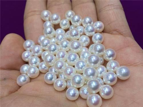 有核珍珠与无核珍珠的形成区别你知道吗？(图1)