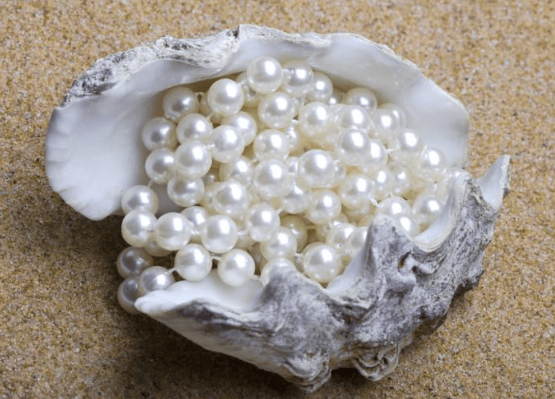 有核珍珠与无核珍珠的形成区别你知道吗？(图3)
