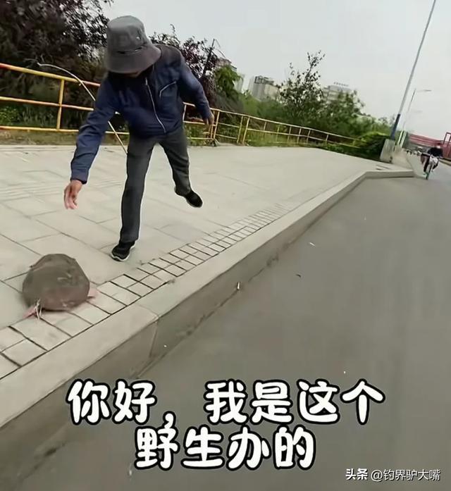 老套路又来了!山东一大叔街头卖“野生”大老鳖被小伙当场揭穿(图1)