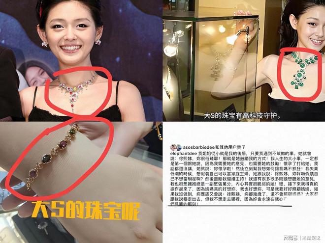 大S天价珠宝失踪引热议：奢华生活圈背后的谜团(图3)