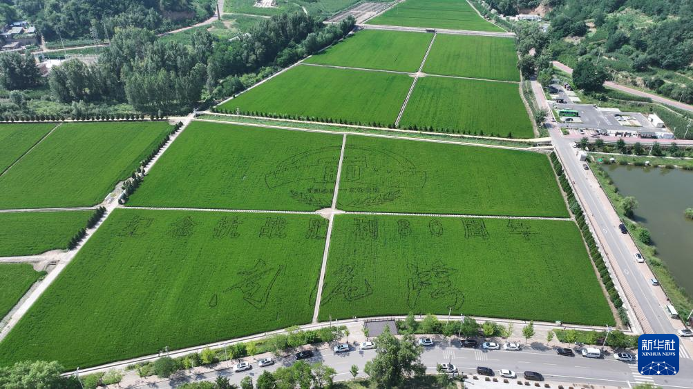 铭记历史·缅怀先烈｜延安南泥湾：陕北好江南再焕新颜(图8)