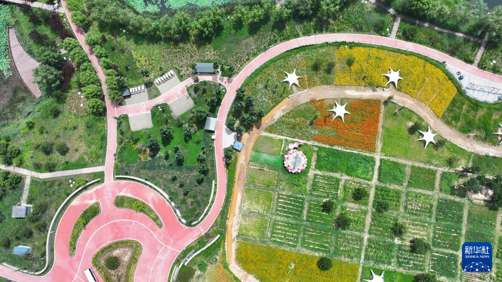 铭记历史·缅怀先烈｜延安南泥湾：陕北好江南再焕新颜(图9)