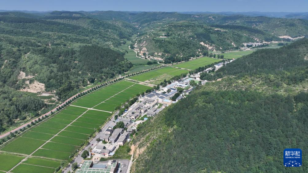 铭记历史·缅怀先烈｜延安南泥湾：陕北好江南再焕新颜(图14)