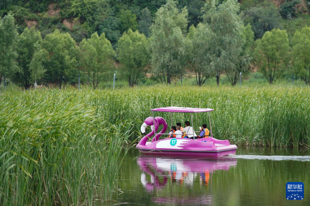 铭记历史·缅怀先烈｜延安南泥湾：陕北好江南再焕新颜(图10)