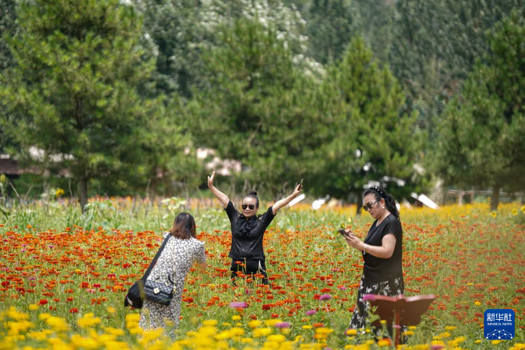 铭记历史·缅怀先烈｜延安南泥湾：陕北好江南再焕新颜(图11)