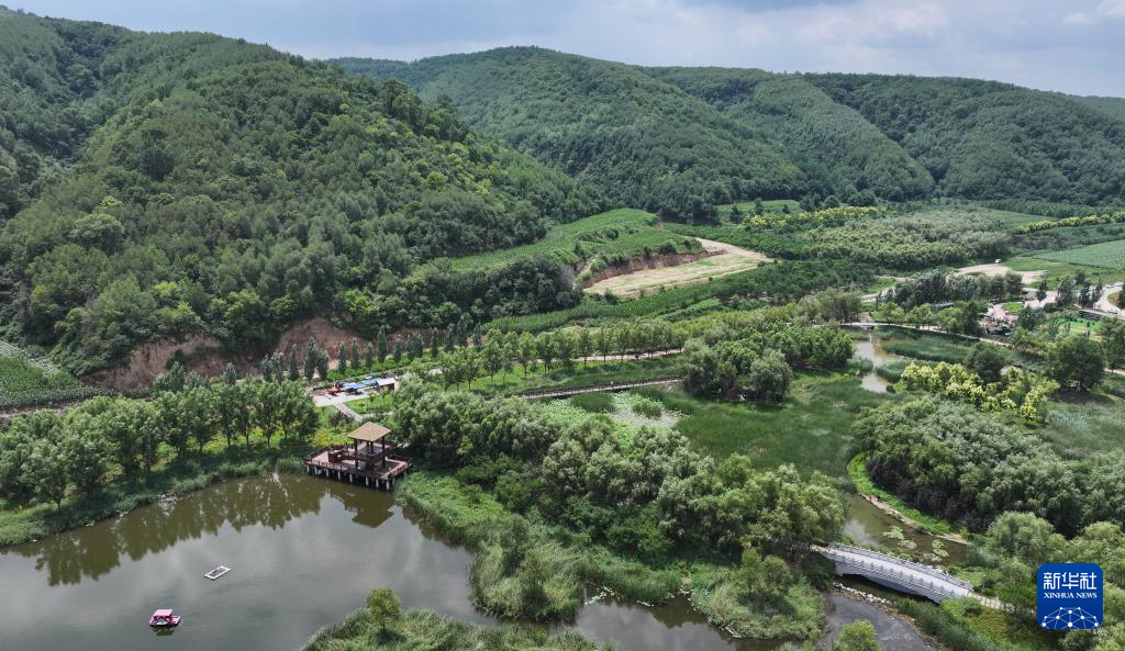 铭记历史·缅怀先烈｜延安南泥湾：陕北好江南再焕新颜(图13)