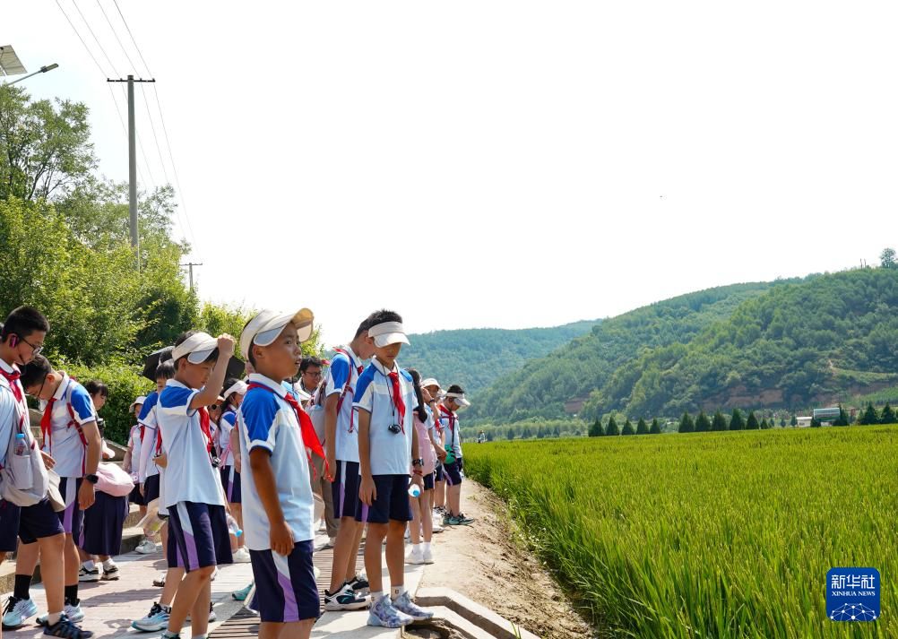铭记历史·缅怀先烈｜延安南泥湾：陕北好江南再焕新颜(图12)