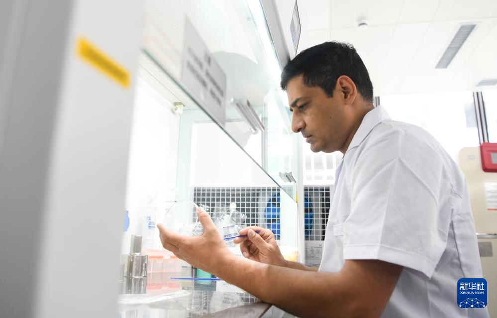 巴基斯坦专家瓦西姆·拉扎：我在海南研究香蕉“抗病密码”(图7)