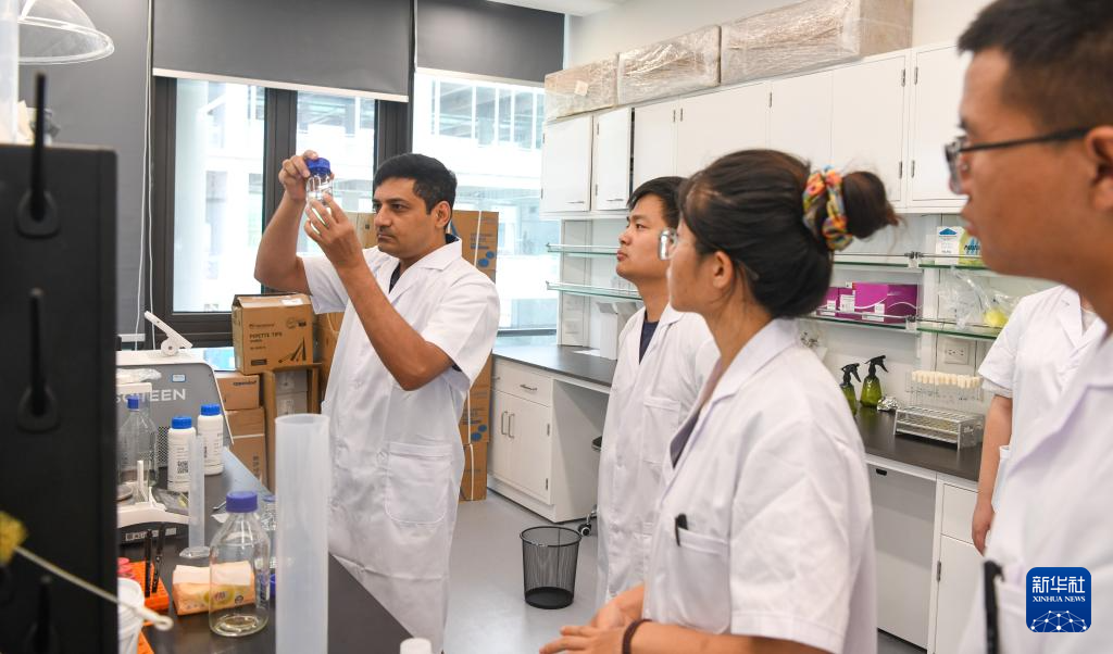 巴基斯坦专家瓦西姆·拉扎：我在海南研究香蕉“抗病密码”(图10)